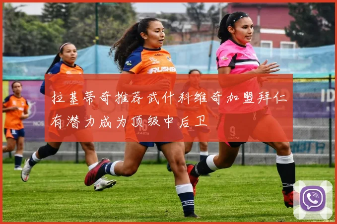 拉基蒂奇推荐武什科维奇加盟拜仁有潜力成为顶级中后卫
