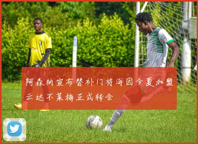 阿森纳宣布替补门将海因今夏加盟云达不莱梅正式转会
