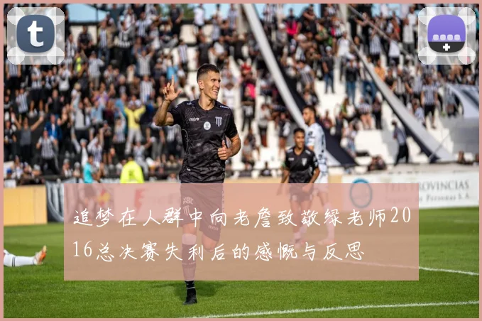 追梦在人群中向老詹致敬绿老师2016总决赛失利后的感慨与反思