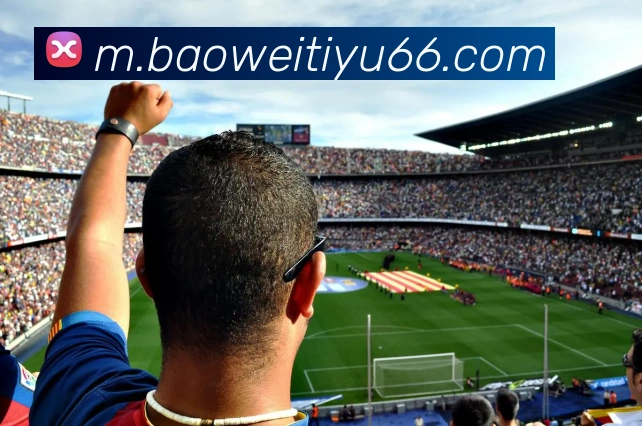 宝威体育APP 封面图